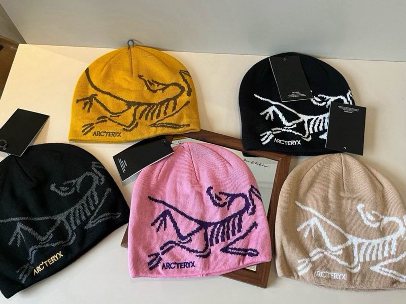 Arcteryx Hat dx12